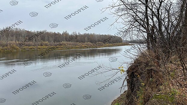 Сегодня в Оренбурге облачно и без осадков