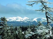 Туристка заблудилась и сутки выбиралась к людям на Сахалине