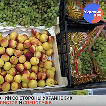 «Из Украины в Россию»: посещение бассейна и обзор цен на овощи