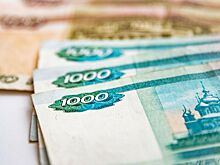 В Госдуме рассказали о новой автоматической выплате