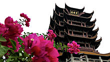 В китайском Ухане туристы смогут посещать достопримечательности
