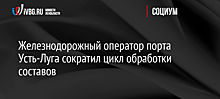 Железнодорожный оператор порта Усть-Луга сократил цикл обработки составов