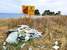 «Стало хуже»: мусорная проблема догоняет Приморье