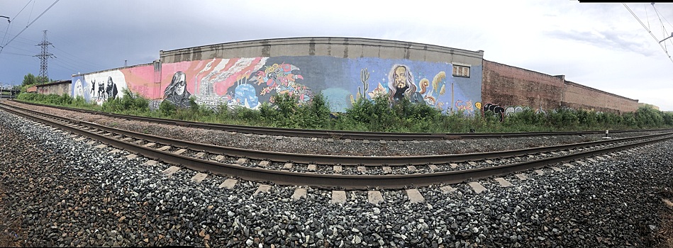 "Всё идёт по плану". В Омске состоится экскурсия, посвящённая Егору Летову