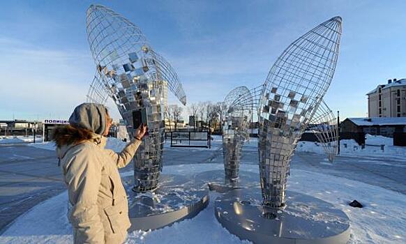 Прокуратура начала проверку из-за установки арт-объектов китов в Челябинске