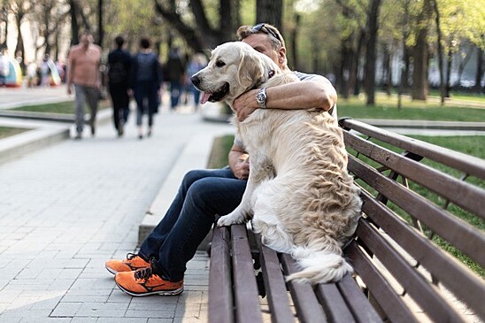 Животных защитят от коллекторов