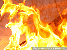 Суд Лондона окончательно отменил приговор за сожжение Корана у посольства Турции