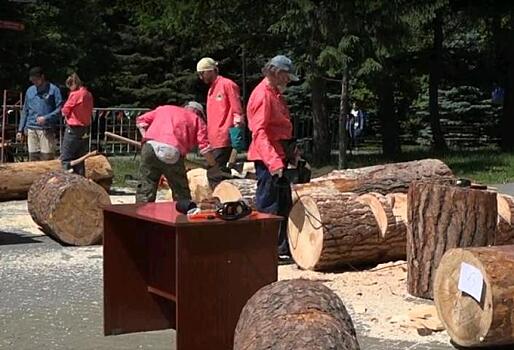 Российский фестиваль-конкурс деревянной скульптуры открылся в Челябинске