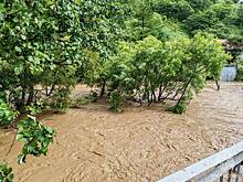 В российском регионе начали эвакуацию жителей затопленного села