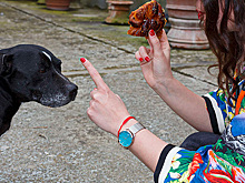 #TimeToParr: Gucci запустили арт-проект в Instagram