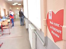 Эксперт рассказал о сложностях используемой в электронном голосовании криптографии