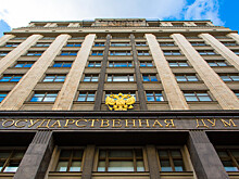 Комитет Госдумы по контролю пожаловался на задержку разработки подзаконных актов