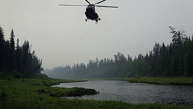 В Красноярском крае рассказали подробности борьбы с лесными пожарами