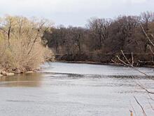 Расчистка русла реки Тускарь в Курской области ведётся с отставанием от графика