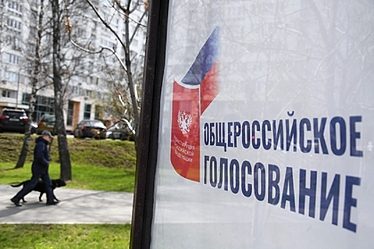 Оценена роль дистанционного голосования на выборах