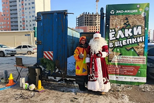 Минэкологии Башкирии опубликовало список адресов для сдачи елок в Уфе