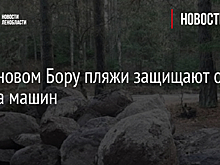 В Сосновом Бору пляжи защищают от заезда машин
