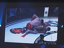 Как прошёл международный турнир по смешанным единоборствам «Курская битва»?