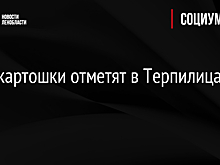 День картошки отметят в Терпилицах