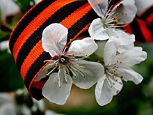 Многие костромичи не собираются на работу 11 мая