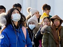 ВТО: Торговля товарами в мире останется слабой в ближайшие месяцы