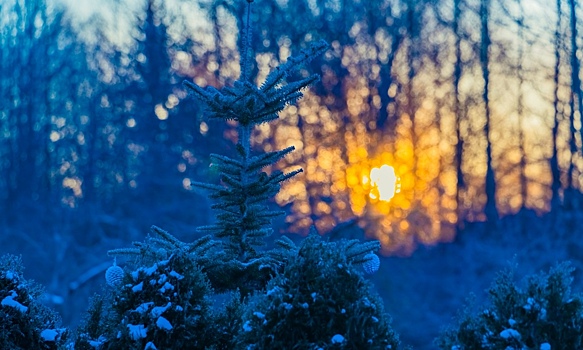 Самый короткий день в году: когда он наступает на самом деле