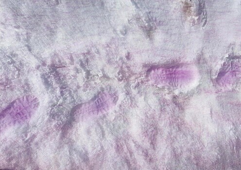 На Камчатке снег окрасился в необычный цвет
