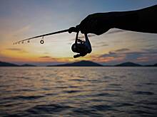 Рыболов поймал окуня невиданных размеров