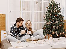 Как провести новогодние каникулы с пользой для дома