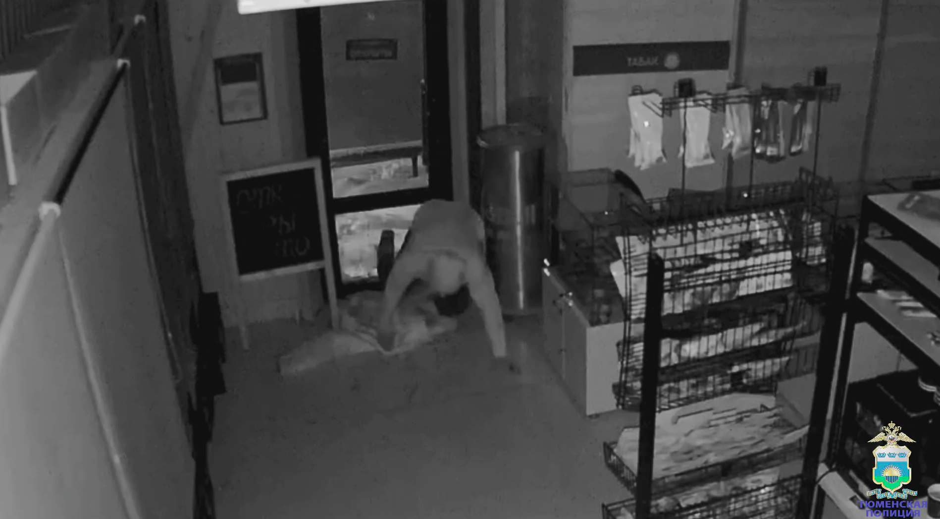 Некурящий вор-рецидивист, обчистивший «из любви к искусству» табачную лавку, задержан в Тюмени