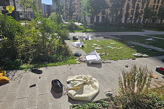 В Москве мужчина выбросил из окна женщину с ребенком