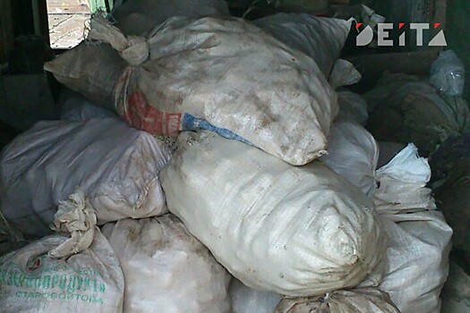 Первый производящий энергию из мусора завод запустили в России