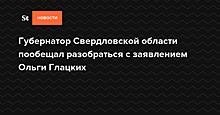 Свердловский губернатор разберется с высказыванием чиновницы о детях