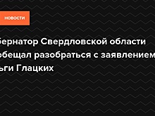 Свердловский губернатор разберется с высказыванием чиновницы о детях