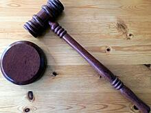 В Калуге в суд передали дело обнажившейся на фоне храма девушки