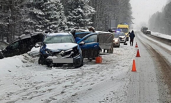 В Кирово-Чепецком районе на трассе столкнулись два «Рено»