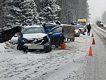 В Кирово-Чепецком районе на трассе столкнулись два «Рено»