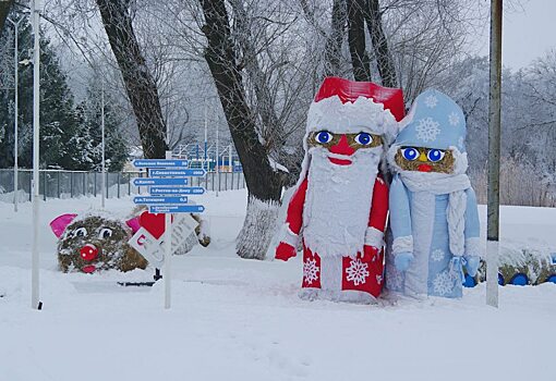В Саратовской области появился соломенный Дед Мороз