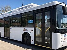 В Челнах не будут закупать большие автобусы из-за нерентабельности