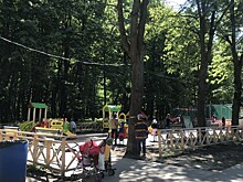 Рязанским депутатам показали «площадку-фантом» в Лесопарке