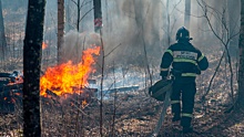 В России за сутки потушили 28 лесных пожаров