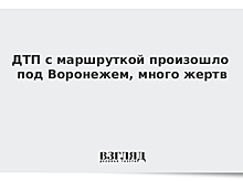 ДТП с маршруткой произошло под Воронежем, много жертв