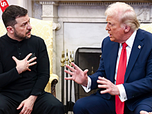 В Британии назвали действия Зеленского «плевком в лицо Трампу»