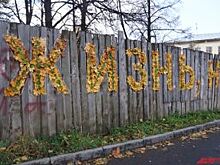 В Перми пенсионеров научат создавать арт-объекты