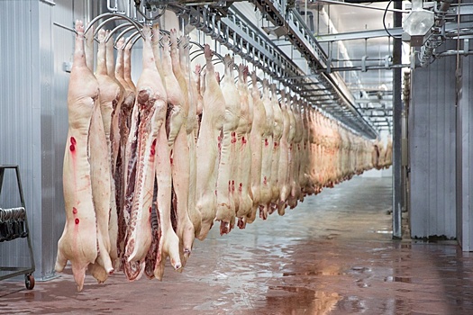 Агрохолдинг «КоПитания» увеличил инвестиции в строительство мясохладобойню под Саратовом