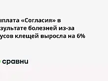 Выплата «Согласия» в результате болезней из-за укусов клещей выросла на 6%