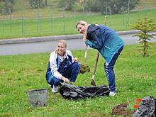 В Сургуте дворы благоустраивают на деньги собственников