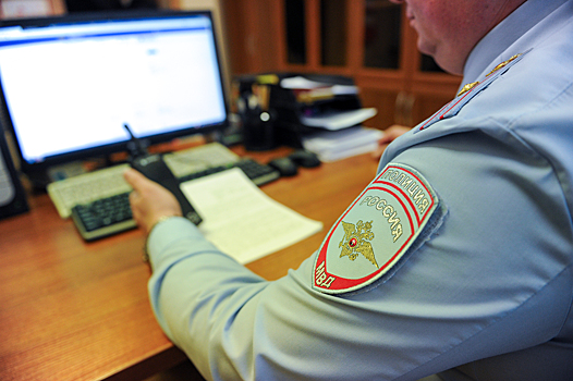 В Нижнем Новгороде пресечена деятельность организованной преступ-ной группы, совершавшей кражи из дачных домов