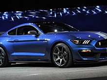 Прототип модели Ford Mustang Mach-E проходит отбор для службы в полиции