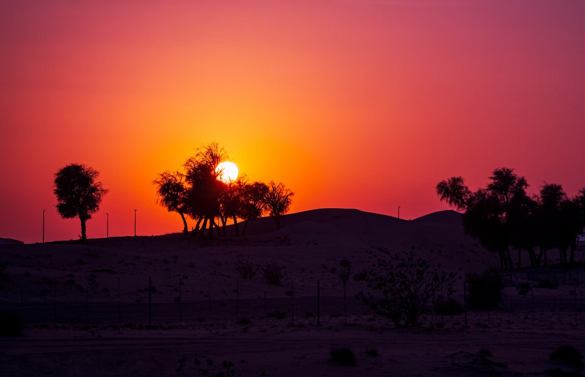 Какую максимальную температуру способен выдержать организм человека